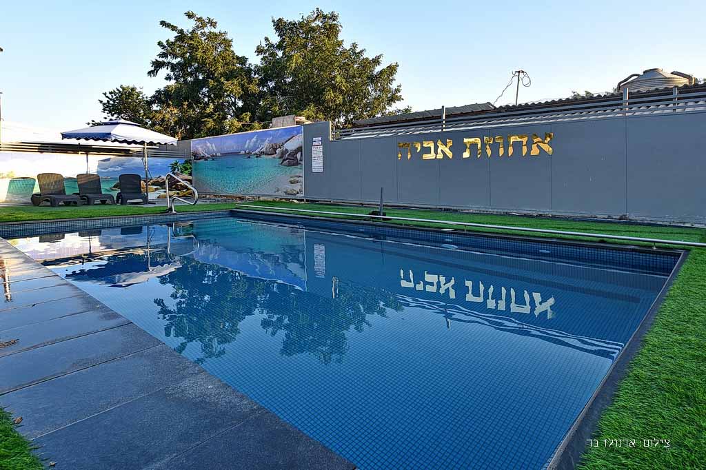 הבריכה בחצר הוילה